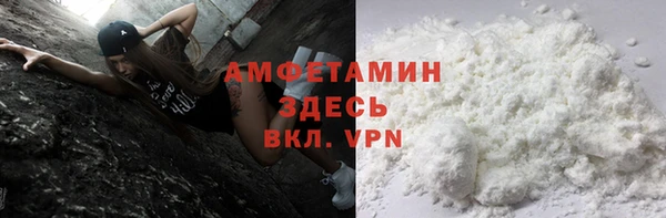 шишки Алексин