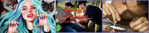 прущие грибы Алексеевка