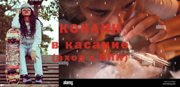 шишки Алексин