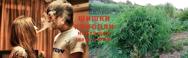 шишки Алексин