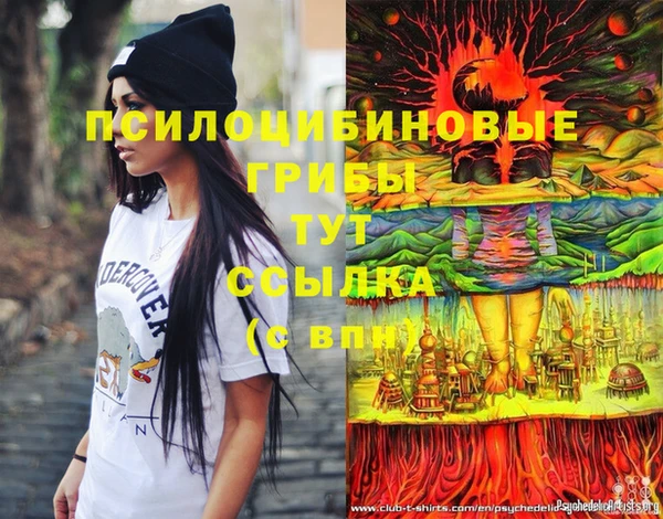 дживик Алзамай