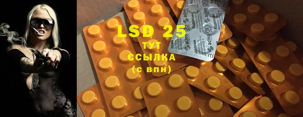 прущие грибы Алексеевка