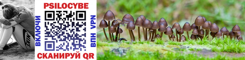 Псилоцибиновые грибы Magic Shrooms  Сочи 